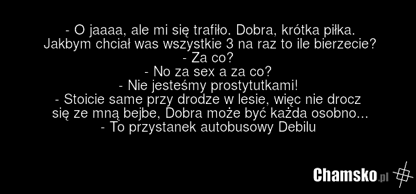 - O jaaaa, ale mi się trafiło. Dobra, krótka piłka. Jakbym chciał was wszystkie 3 na raz to ile bierzecie? - Za co? - No za sex a za co? - Nie jesteśmy prostytutkami! - Stoicie same przy drodze w lesie, więc nie drocz się ze mną bejbe, Dobra może być każda osobno... - To przystanek autobusowy Debilu