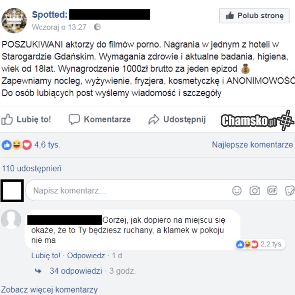 Oferta pracy