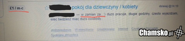 Ciekawa oferta do wynajęcia pokoju