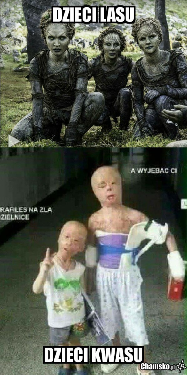 Dzieci lasu