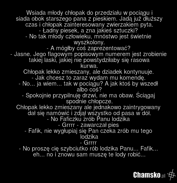 Wsiada młody chłopak do przedziału w pociągu i siada obok starszego pana z pieskiem. Jadą już dłuższy czas i chłopak zainteresowany zwierzakiem pyta. - Ładny piesek, a zna jakieś sztuczki? - No tak młody człowieku, mnóstwo jest świetnie wyszkolony. - A mógłby coś zaprezentować? - Jasne. Jego flagow…