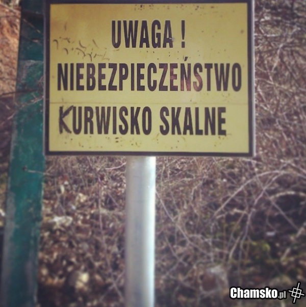 kurwisko