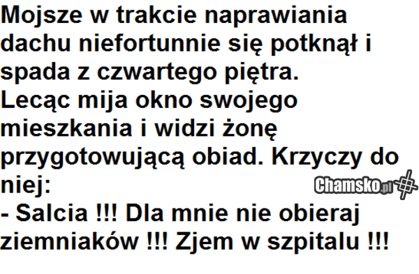 żydostwo vol. 614964646