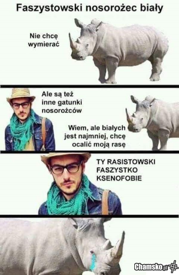 Łajt pałer