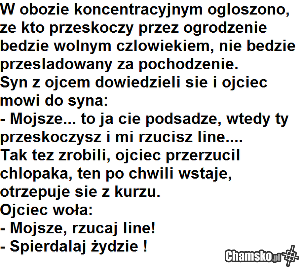żydostwo vol. 614964648