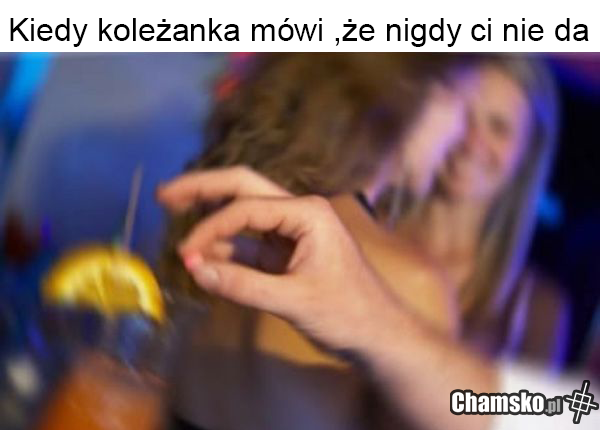 koleżanka