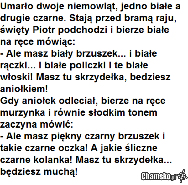i będziesz jadł gównowiesz co to jest reinkarnacja? słyszałeś kiedyś taki dłuuugi wyraz?