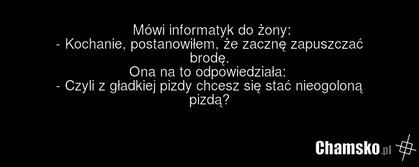 Mówi informatyk do żony: - Kochanie, postanowiłem, że zacznę zapuszczać brodę. Ona na to odpowiedziała: - Czyli z gładkiej pizdy chcesz się stać nieogoloną pizdą?