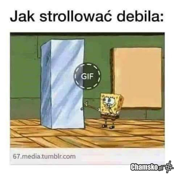 Oglądaj do końca