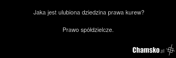 Jaka jest ulubiona dziedzina prawa kurew? Prawo spółdzielcze.