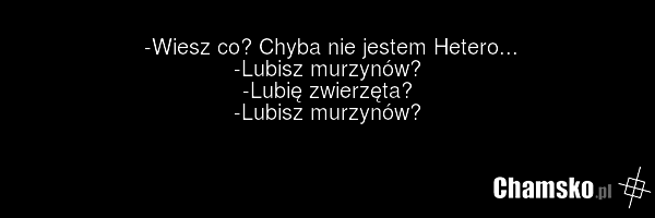 -Wiesz co? Chyba nie jestem Hetero... -Lubisz murzynów? -Lubię zwierzęta? -Lubisz murzynów?
