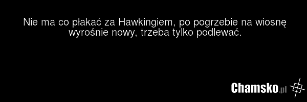 Nie ma co płakać za Hawkingiem, po pogrzebie na wiosnę wyrośnie nowy, trzeba tylko podlewać.