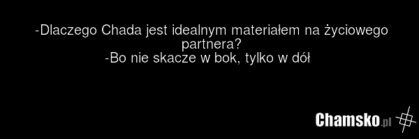 -Dlaczego Chada jest idealnym materiałem na życiowego partnera? -Bo nie skacze w bok, tylko w dół
