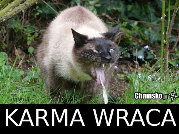 Karma