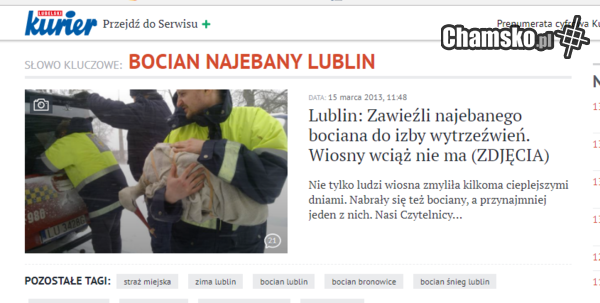 Najebany bocian