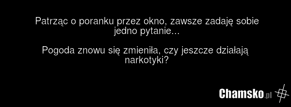 Patrząc o poranku przez okno, zawsze zadaję sobie jedno pytanie... Pogoda znowu się zmieniła, czy jeszcze działają narkotyki?
