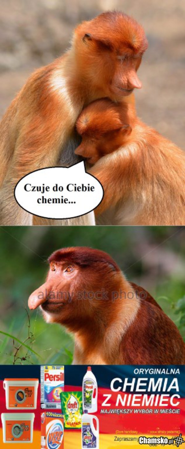Ta chemia...
