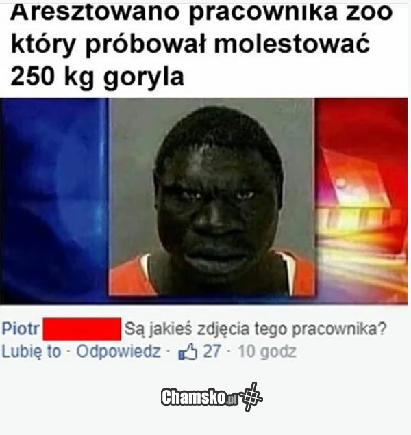 Widział go ktoś?