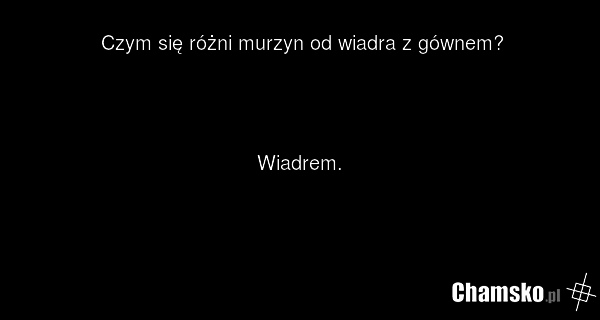 Czym się różni murzyn od wiadra z gównem? Wiadrem.