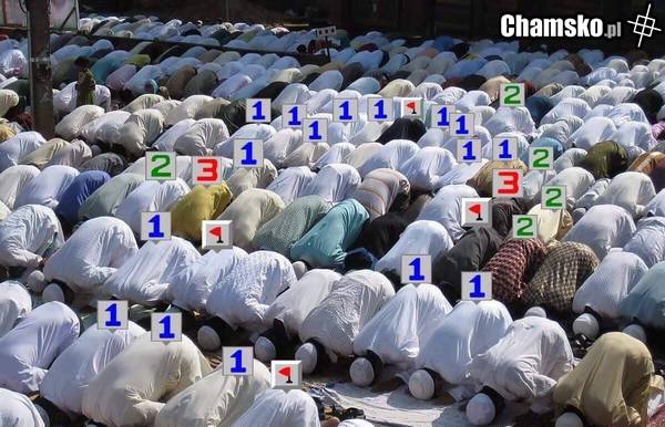 minesweeper