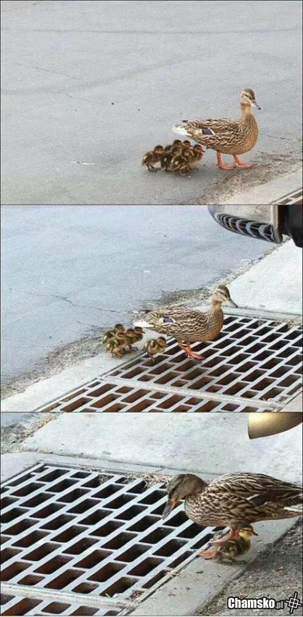 Ups...
