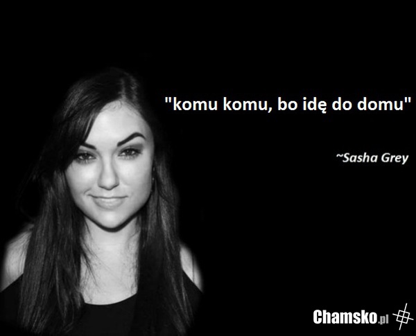 SASHA PO ROBOCIE