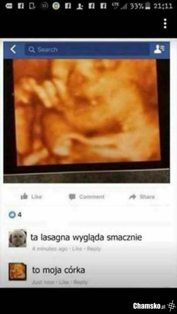 Lasagna