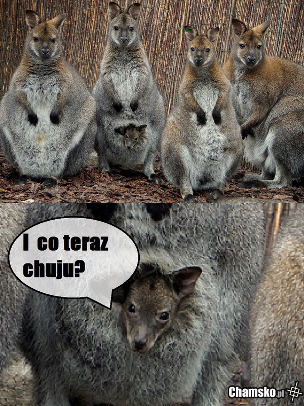 I co teraz?
