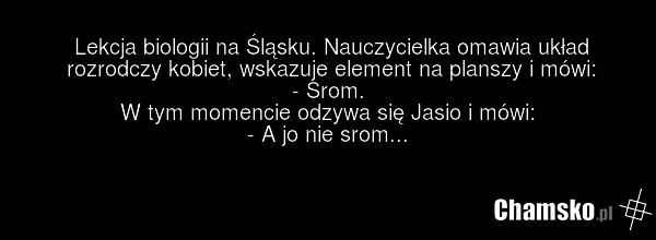 Lekcja biologii na Śląsku. Nauczycielka omawia układ rozrodczy kobiet, wskazuje element na planszy i mówi: - Srom. W tym momencie odzywa się Jasio i mówi: - A jo nie srom...