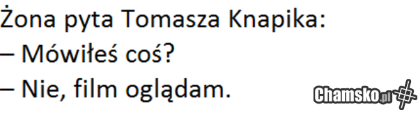 poszukuje groszków i pawulonu