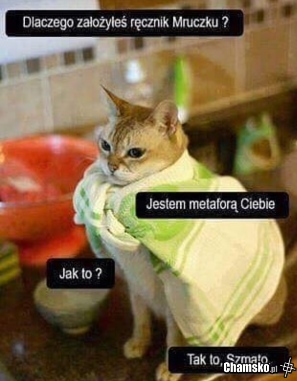 TO O TOBIE