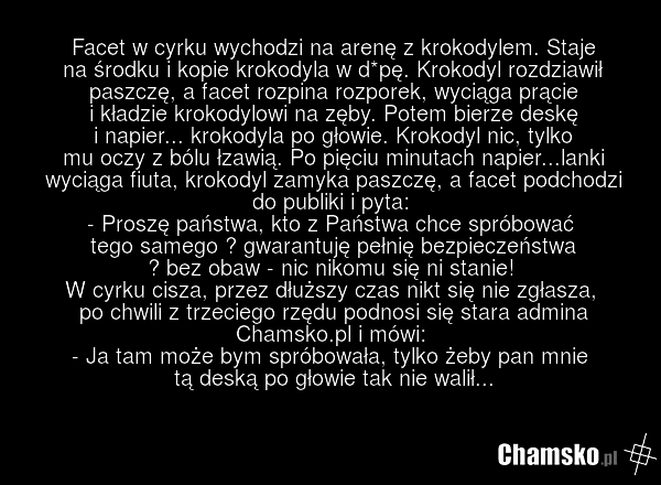 Facet w cyrku wychodzi na arenę z krokodylem. Staje na środku i kopie krokodyla w d*pę. Krokodyl rozdziawił paszczę, a facet rozpina rozporek, wyciąga prącie i kładzie krokodylowi na zęby. Potem bierze deskę i napier... krokodyla po głowie. Krokodyl nic, tylko mu oczy z bólu łzawią. Po pięciu minut…