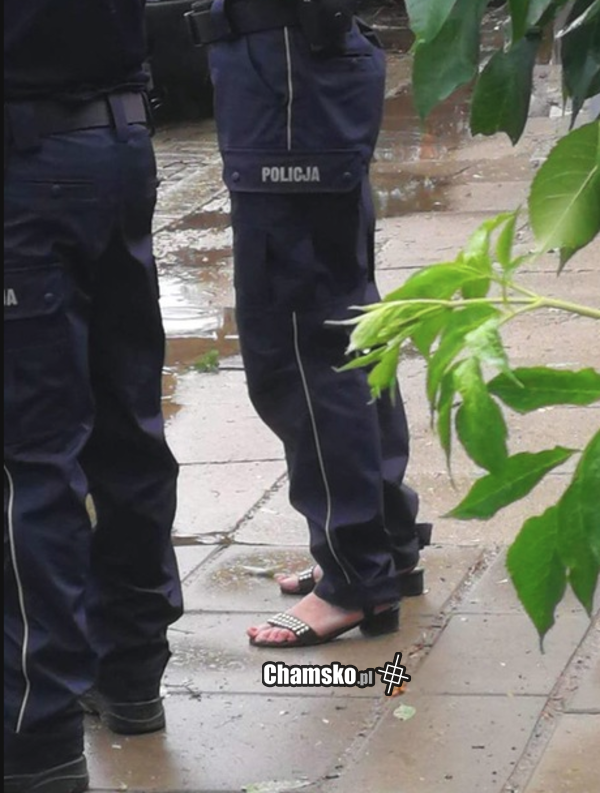 Twój wujek jebany pedał