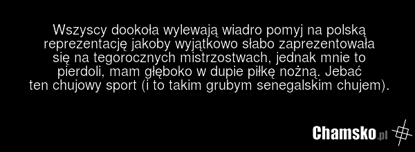 Wszyscy dookoła wylewają wiadro pomyj na polską reprezentację jakoby wyjątkowo słabo zaprezentowała się na tegorocznych mistrzostwach, jednak mnie to pierdoli, mam głęboko w dupie piłkę nożną. Jebać ten chujowy sport (i to takim grubym senegalskim chujem).