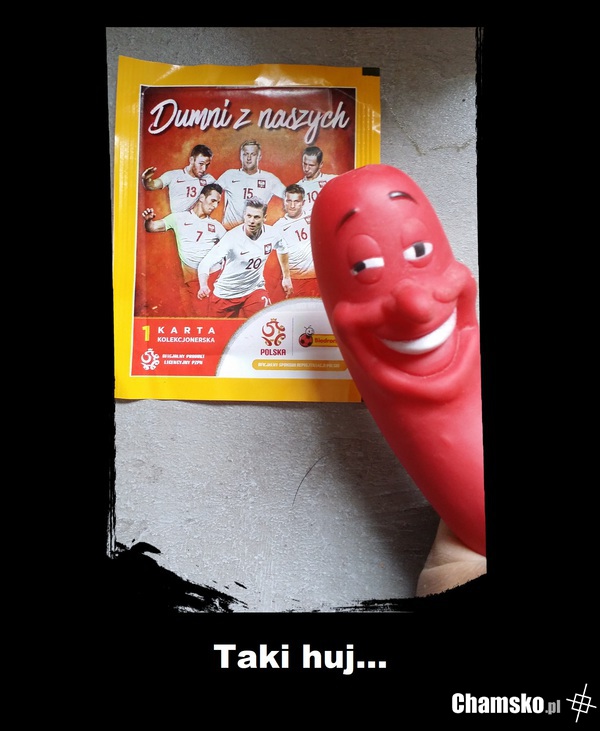 Dumni z naszych