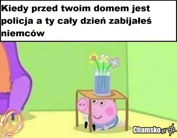 Policja przed domem