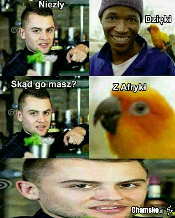 Pan