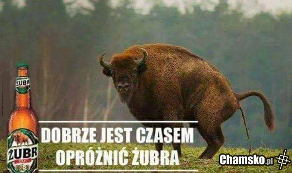Nie ma to jak żuberek