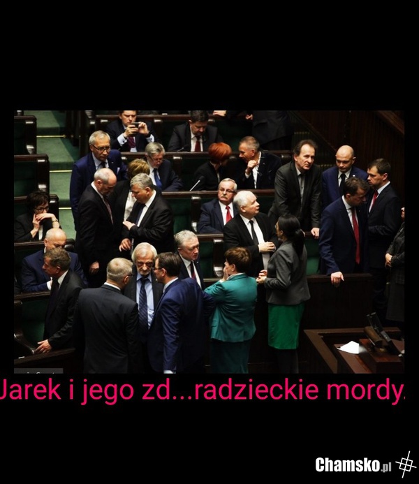 mordy