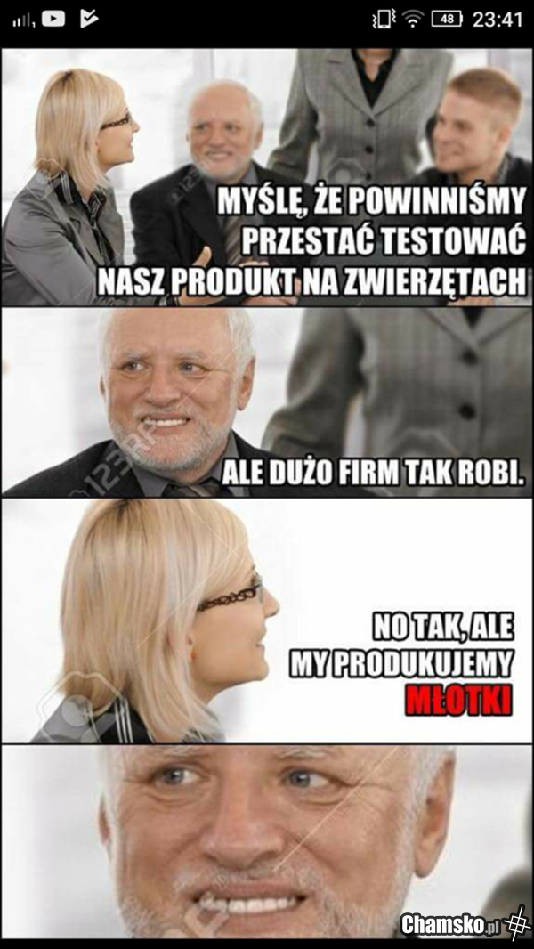Testy na zwierzetach