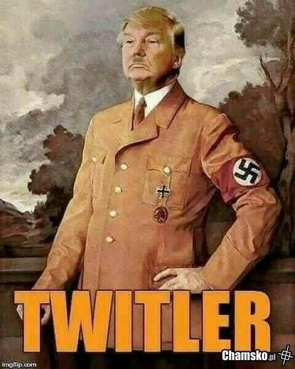 Kaczor Donald