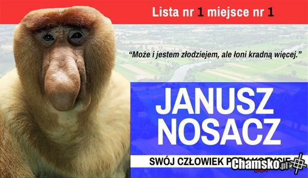 Prezydent miasta