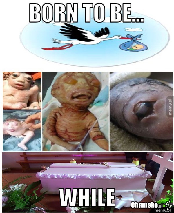 Chwilówka od Bociana...