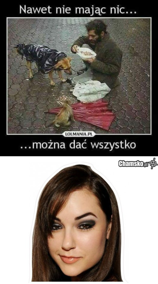 Daje wszystko