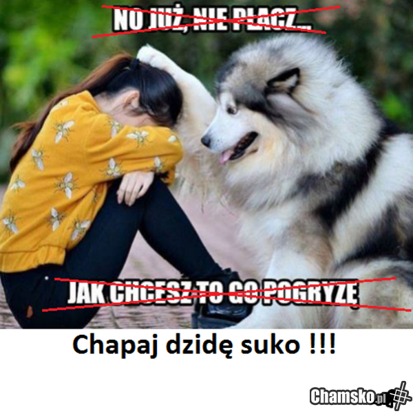 Łap za miecz