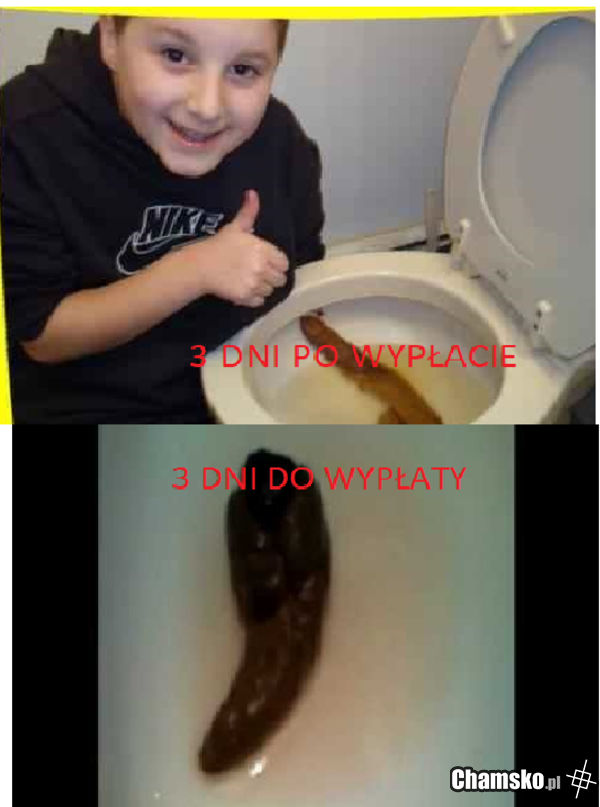 3 Dni.....
