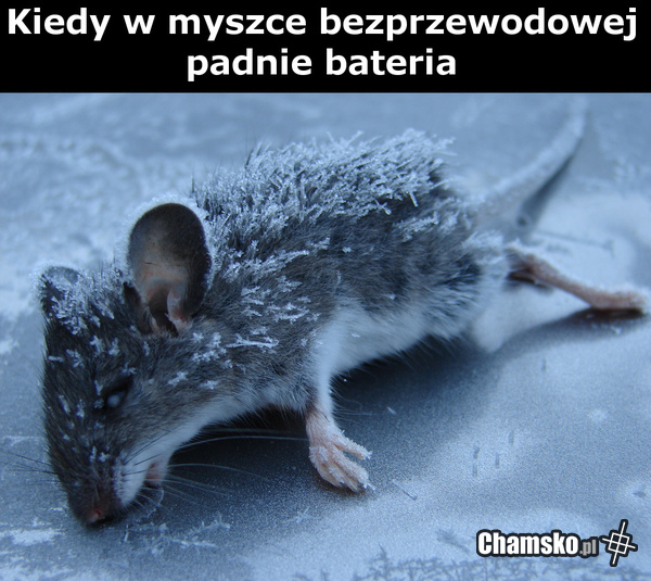 Kiedy w myszce bezprzewodowej padnie bateria