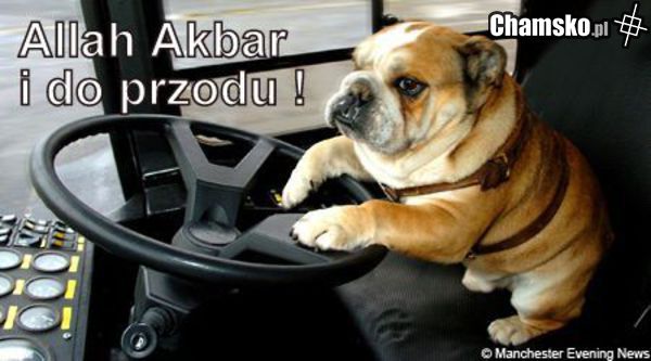 Tymczasem w Berlinie...