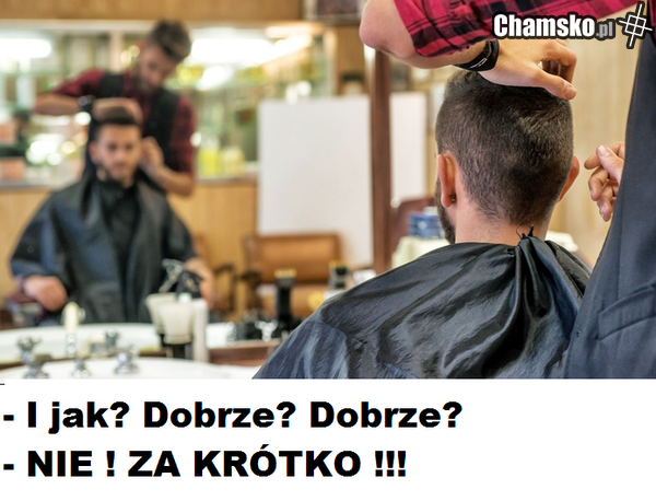 Głupie pytanie - Głupia odpowiedź cz. II