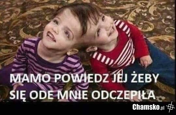Mamo!!